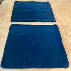 World Market 18” Velvet Pillow Cover (2)